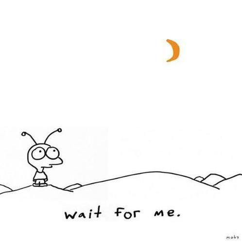 cd - Moby - Wait For Me, Cd's en Dvd's, Cd's | Overige Cd's, Zo goed als nieuw, Verzenden