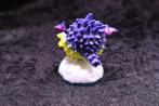 Skylanders Swap Force: Pop Thorn, Verzenden, Nieuw