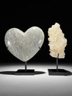 Decoratief ornament - NO RESERVE PRICE - Wonderful Pair of