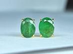 Oorbellen - 18 karaat Geel goud - 2.16ct. tw. Smaragd, Nieuw