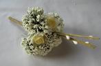 Corsage Mini Roos New Style -Pick Creme Corsage Mini Roos, Hobby en Vrije tijd, Ophalen of Verzenden, Nieuw