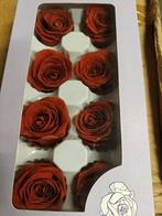Geconserveerde rozen Geprepareerd Rood Earth doos 8 stuks, Ophalen of Verzenden, Nieuw