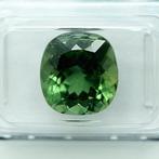 Zonder Minimumprijs Apatiet - 6.87 ct - International, Sieraden, Tassen en Uiterlijk, Edelstenen, Nieuw
