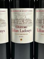 2020 Château Lilian Ladouys - Saint-Estèphe Cru Bourgeois, Nieuw