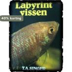 Labyrintvissen in het aquarium 9789003933409 Ostermoller, Verzenden, Gelezen, Ostermoller
