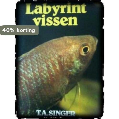 Labyrintvissen in het aquarium 9789003933409 Ostermoller, Boeken, Overige Boeken, Gelezen, Verzenden