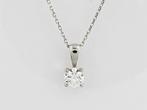 Halsketting - 14 karaat Witgoud - 0.51ct. tw. Diamant, Nieuw