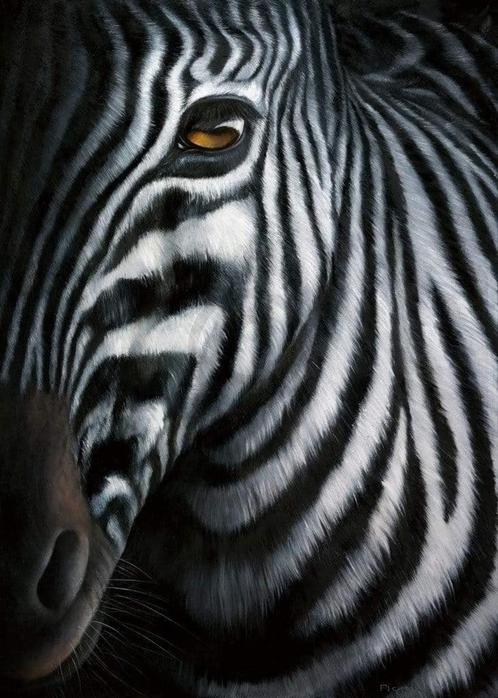 Kunstdruk Jutta Plath - Zebra I 60x80cm, Huis en Inrichting, Woonaccessoires | Schilderijen, Tekeningen en Foto's, Nieuw, Verzenden