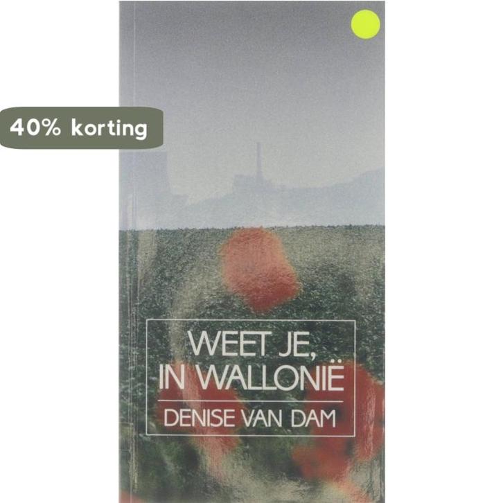 Weet je, in Wallonie 9789061527725 D. van Dam, Boeken, Wetenschap, Zo goed als nieuw, Verzenden