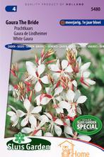Gaura The Bride Zaden - Meerjarige Sierplant met Elegante, Verzenden