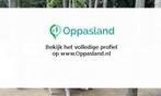 Kim zoekt een oppas in Waddinxveen voor 2 kinderen., Vacatures