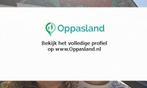 Diana zoekt een oppas in Haaksbergen voor 1 kind voor 4 d..., Vacatures, Vacatures | Schoonmaak en Facilitaire diensten