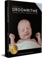 Baby in een droomritme 9789490023089 Stephanie Molenaar, Boeken, Zwangerschap en Opvoeding, Gelezen, Stephanie Molenaar, Verzenden