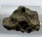 AMGALA 001 - Meteoriet Martiaanse Shergottiet - 2.2 g