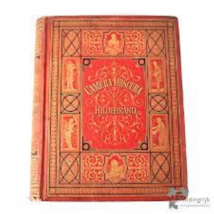 CAMERA OBSCURA / AMSTEL KLASSIEKEN 9789020453737 Hildebrand, Boeken, Romans, Gelezen, Verzenden