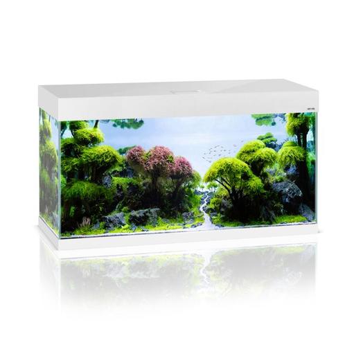 Osaka OptiSet 100 cm Wit (Aquaria & meubels), Dieren en Toebehoren, Vissen | Aquaria en Toebehoren, Leeg aquarium, Nieuw, Ophalen of Verzenden