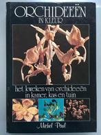 Documenta magazine no 1, 2007 Modernity 9789062482009 Paul, Verzenden, Gelezen, Paul