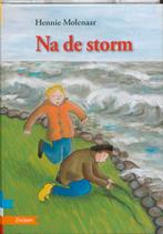 Na de storm / Boekbende 9789048703180 Hennie Molenaar, Boeken, Verzenden, Gelezen, Hennie Molenaar