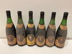 1970 (x5) & 1987 Bodegas Faustino V - Rioja Reserva - 6, Nieuw
