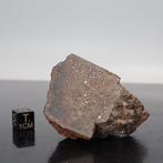 GOUDEN BASIN Historische meteoriet - 62 g