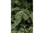 Triumph Tree Abies Nordmann Guirlande - L180 cm - Groen, Verzenden, Nieuw