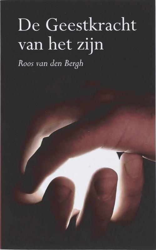 De Geestkracht van het Zijn 9789089540102 R. van den Bergh, Boeken, Godsdienst en Theologie, Gelezen, Verzenden