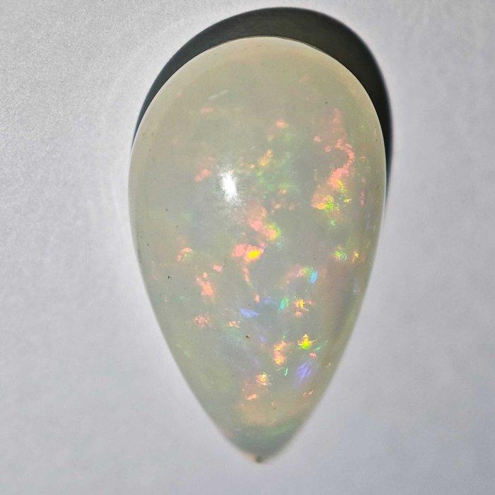 Zonder Minimumprijs Opaal - 9.17 ct - Antwerp Laboratory for, Sieraden, Tassen en Uiterlijk, Edelstenen