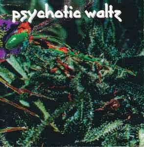 cd - Psychotic Waltz - Mosquito, Cd's en Dvd's, Cd's | Overige Cd's, Zo goed als nieuw, Verzenden