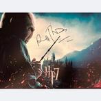 Harry Potter - Signed by Ralph Fiennes (Voldemort), Nieuw