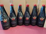 2019 Santi, Santico - Amarone della Valpolicella - 6, Verzamelen, Nieuw