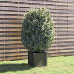 Plantenbak 40x40 Grijs | Retourdeal | 47% Korting!, Tuin en Terras, Bloembakken en Plantenbakken, Minder dan 60 cm, Vierkant, Nieuw
