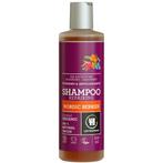 Urtekram Shampoo Noordse Bes 250 ml, Sieraden, Tassen en Uiterlijk, Uiterlijk | Haarverzorging, Nieuw, Verzenden
