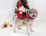 Kerstkleding voor de hond of kat (Kerstmis), Ophalen of Verzenden, Nieuw, Overige hondenkleding