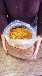 Ruwe Baltische Amber - Barnsteen - 3 kg Lot - 0.5 cm - 0.5