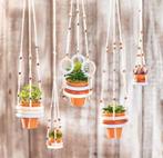 Terracotta terra cotta potjes doos 10 stuks binnenmaat 3cm, Hobby en Vrije tijd, Ophalen of Verzenden, Nieuw