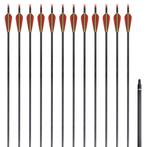 vidaXL Pijlen voor recurveboog standaard 30 0,76 cm, Verzenden, Nieuw
