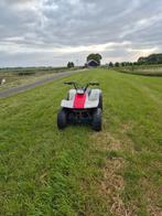 Yamaha breeze, Motoren, Quads en Trikes, 1 cilinder, 11 kW of minder
