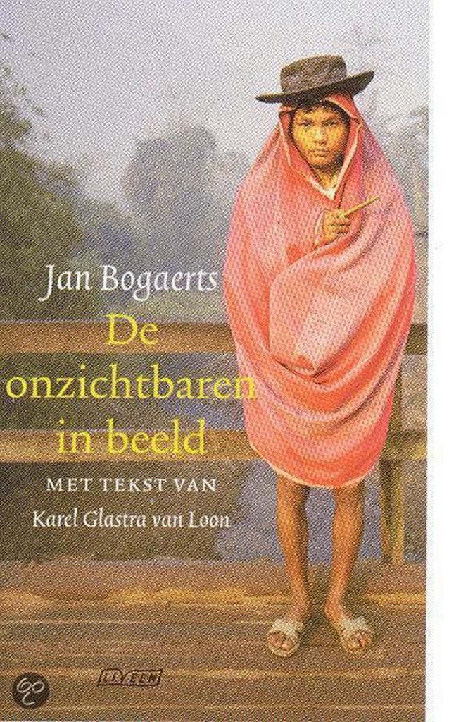 De onzichtbaren in beeld 9789020406054 J. Bogaerts, Boeken, Romans, Gelezen, Verzenden