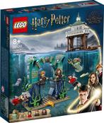 LEGO Harry Potter 76420 Toverschool Toernooi: Het Zwarte Mee, Nieuw, Verzenden