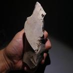 Neolithisch Sint-Flint. 16 cm lang. Mes - 5000 v.Chr. Bijl, Antiek en Kunst