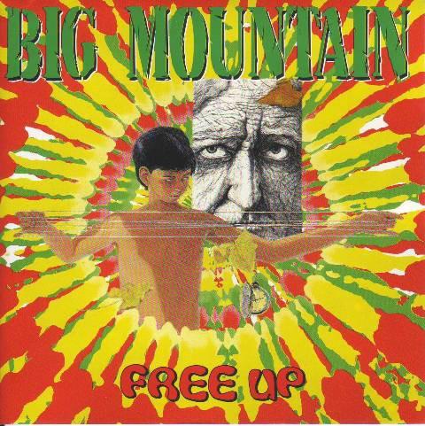 cd - Big Mountain - Free Up, Cd's en Dvd's, Cd's | Overige Cd's, Zo goed als nieuw, Verzenden