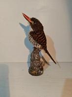 vrouwelijke gestreepte ijsvogel Taxidermie volledige montage, Nieuw