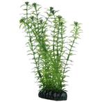 Osaka aquarium kunst plant Lagarosiphon 20cm art. 574, Dieren en Toebehoren, Ophalen of Verzenden, Nieuw, Plant(en), Steen of Hout