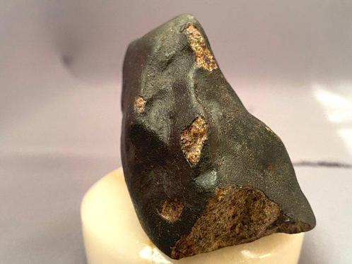 Chondriet Chondrite meteoriet - 238 g - (1), Verzamelen, Mineralen en Fossielen