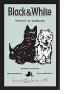 Black & White speigel, Huis en Inrichting, Woonaccessoires | Spiegels, Verzenden, Nieuw