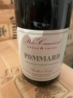 2016 Méo-Camuzet Frère & Soeurs - Pommard - 1 Fles (0,75, Nieuw