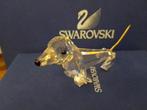 Swarovski - Beeld, Dachshund - 010003 - Box + Certificate -