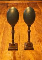 Emoe Ei - Dromaius novaehollandiae - 330 mm - 90 mm - 90 mm-, Nieuw