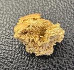 Goud Goud nuggets- 0.61 g - (1)