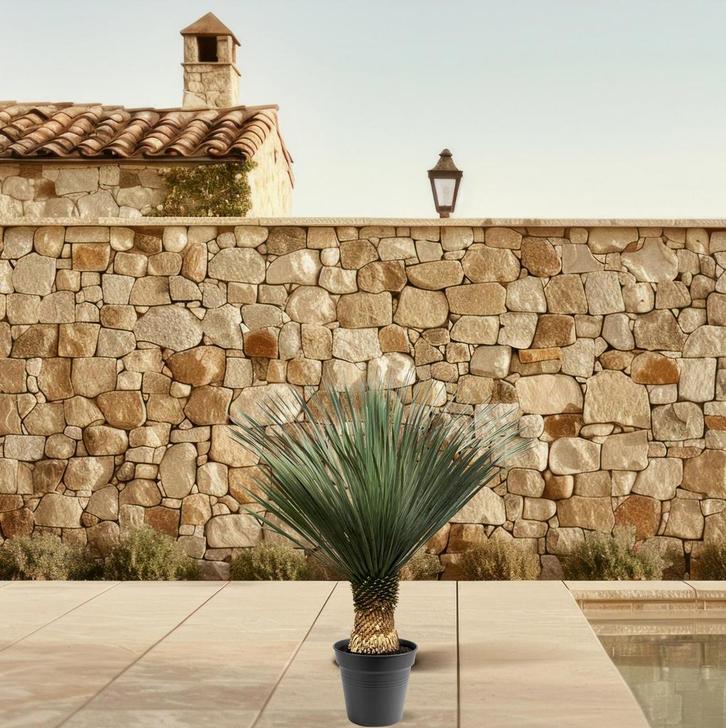 Yucca Rostrata | 100 - 120 cm - Ø40, Huis en Inrichting, Kamerplanten, Verzenden